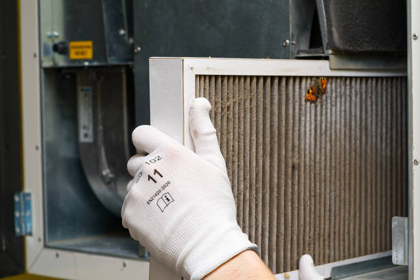 Best Air Quality Test  in Cornwells Heights, PA